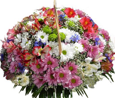 bdcb36abd9d37e628ded2414f76b9214