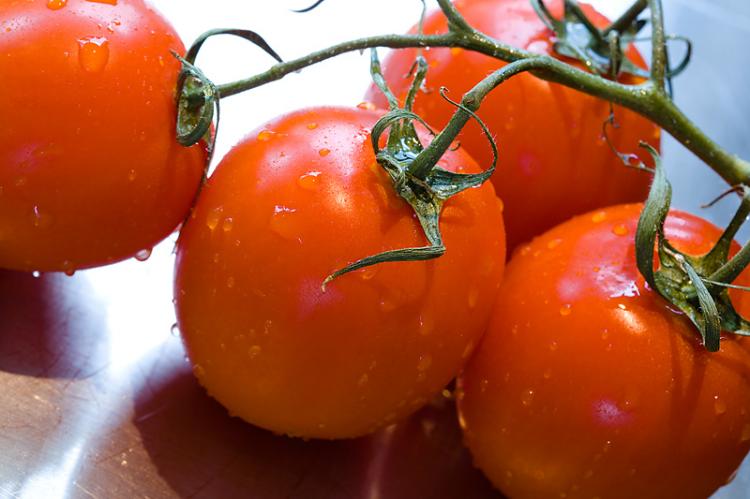 c056de88d537115835f7aed4ed0dac95