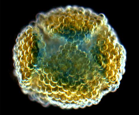 c289c27b337703bdd32eecefc36f7bca