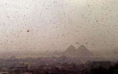 cd41363cef0d97d280b6f7c33fd45b6f