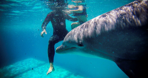 d8fa0a1b1b9a4fda52309759390f9605