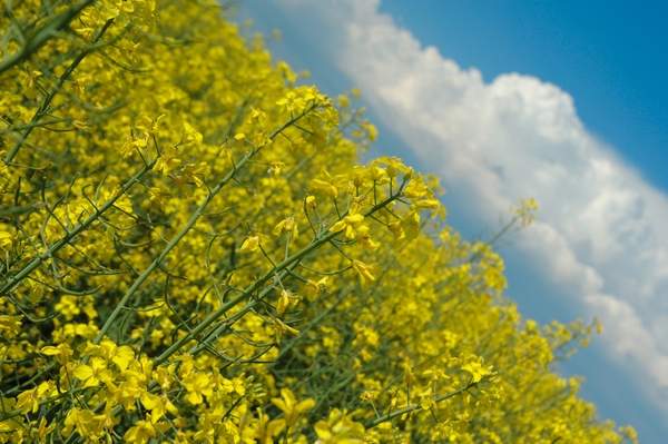 d921c832365a125a46e5d399089e45f9