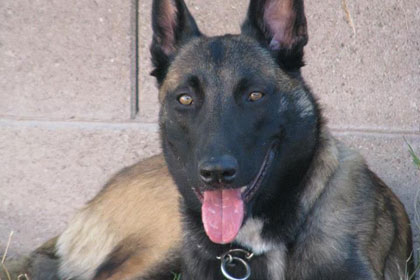 db01c990b37befe0e626b846b0d7c65c