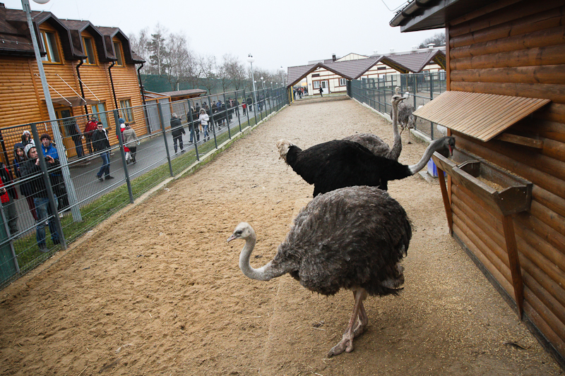 db1d6676d1a5b1255ae8f8c3293aef19