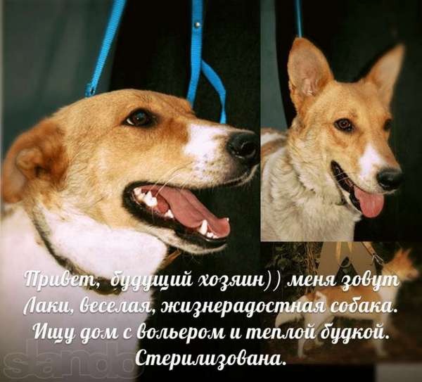 e92c6c690f0faf79aba1e08cc1c4db1f