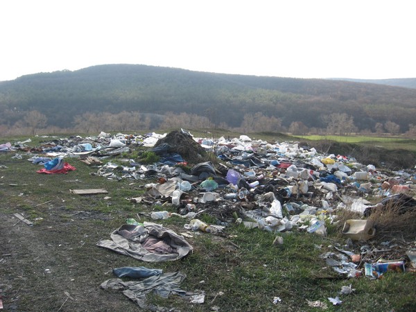 Почему погибает Крымский лес