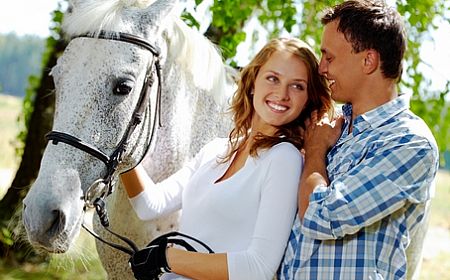 fbfe825387f181b47368ed0ab343c87e