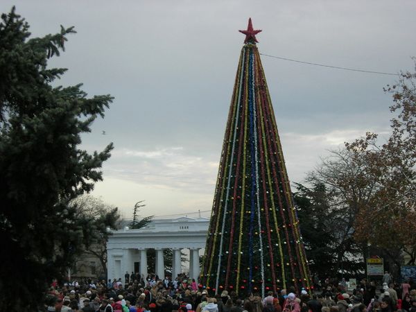 Во всех районах Севастополя одновременно зажглись огни на елках города!