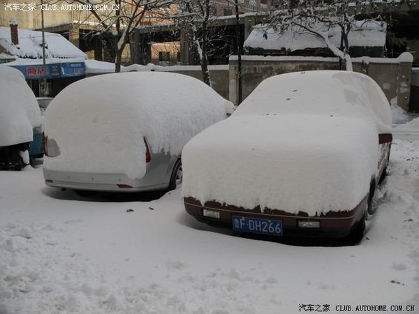 Фотообзор: Сильные снегопады обрушились на провинцию Шаньдун