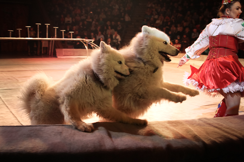 694a4ecc9b239cb08c6afbb178372078