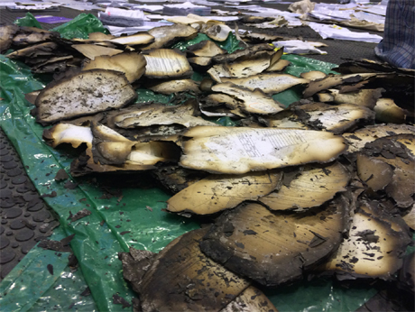 7030d9b1dc4cb5f8b690b26f0d7f08e1