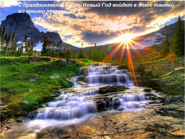 Поздравление с Новым 2010 годом Тигра. Фотообзор