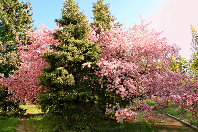 d03cc8a1bc707d435e22ea08a46d096c