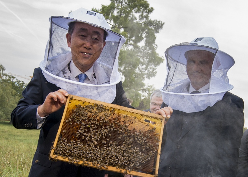 лучшие фотографии мира за неделю 10—16 сентября 2012