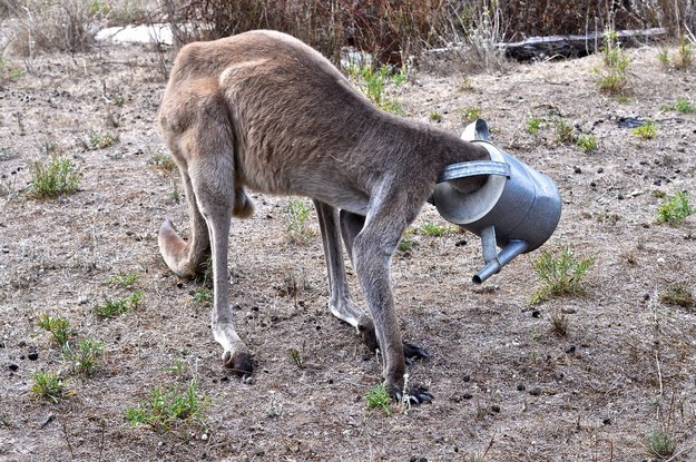 01fb9aaa6c9e262a5ca0cb1f035bdb2b