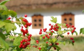 060066ebcb09c9dd3cb622609ac59b49