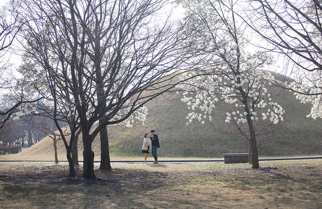 16810096359_7e1067eff7_z