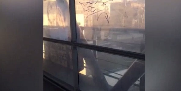 477fe69a0fc3eae7e84d2829b4e368e0