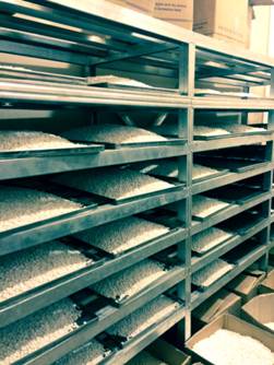 500cacef7a3e1caf6b0e56e9d8685e7e