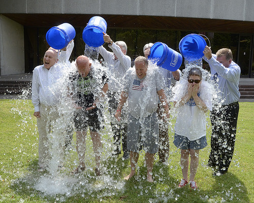 5efa44e11231b232613fe014676e6709