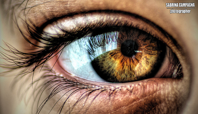 710fecbab225225d50e1259234a935c0