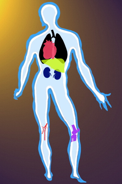 78f99b12af645fd0508a0133d9a35c13