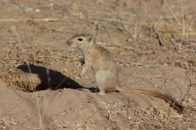 8a2fd30ee48fab2529fc8a73299738b2