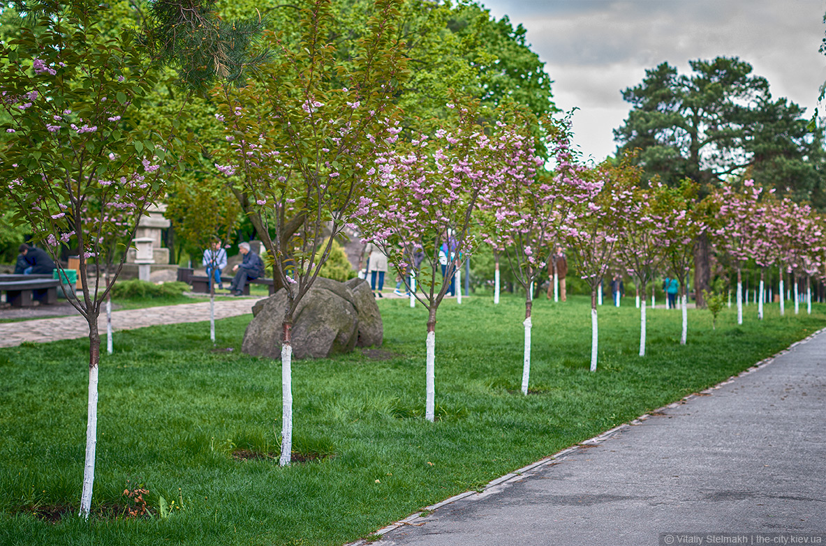 14306704674-imgp0387