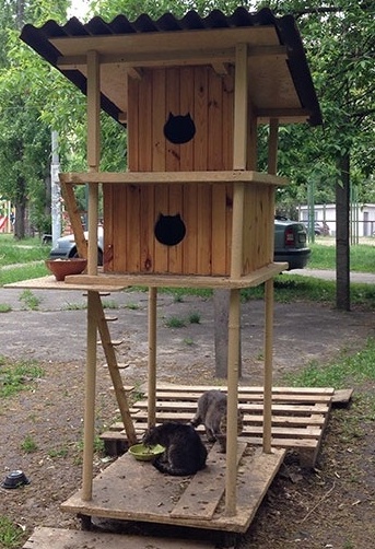 Бездомным котам соорудили домик