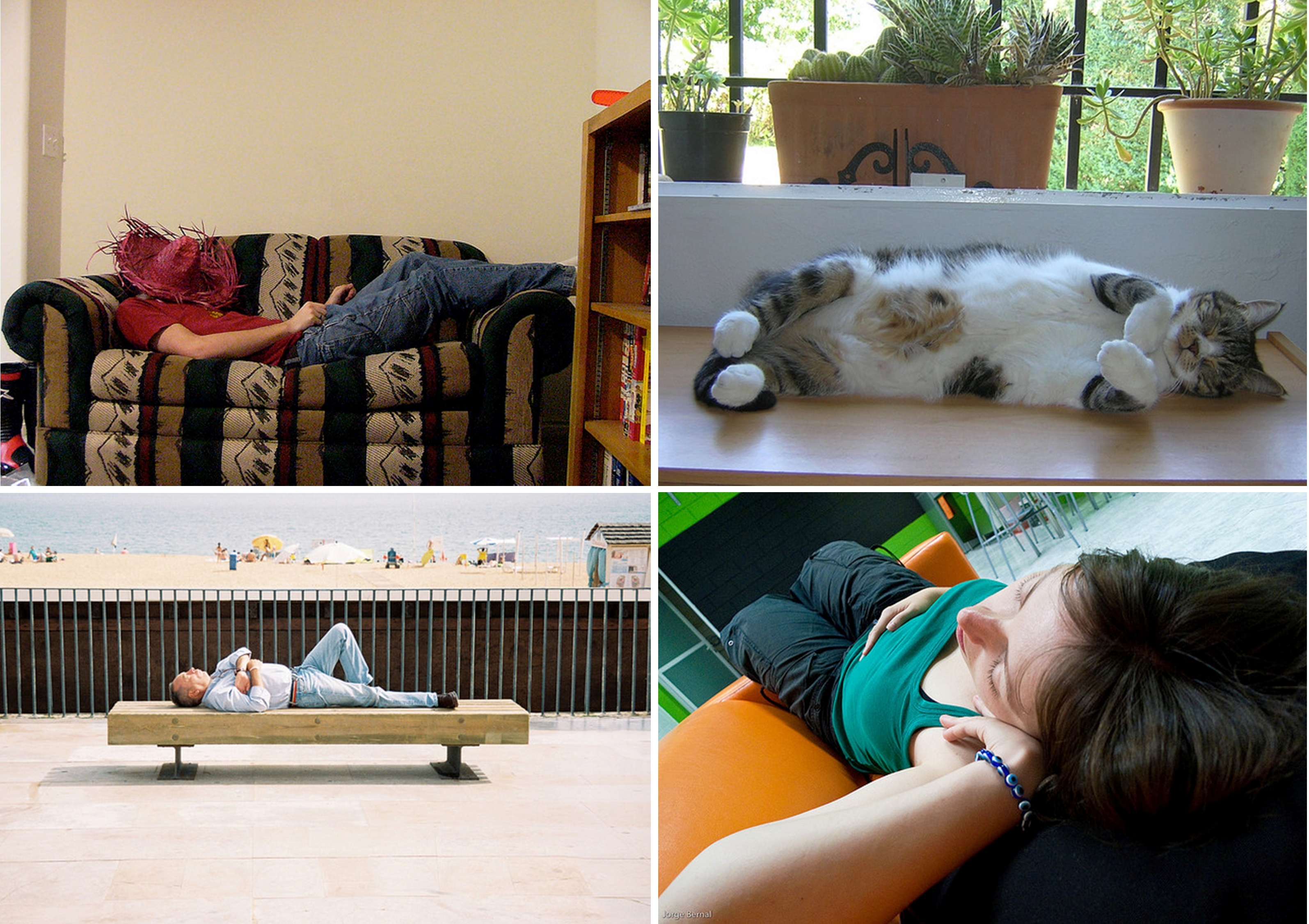 siesta_1