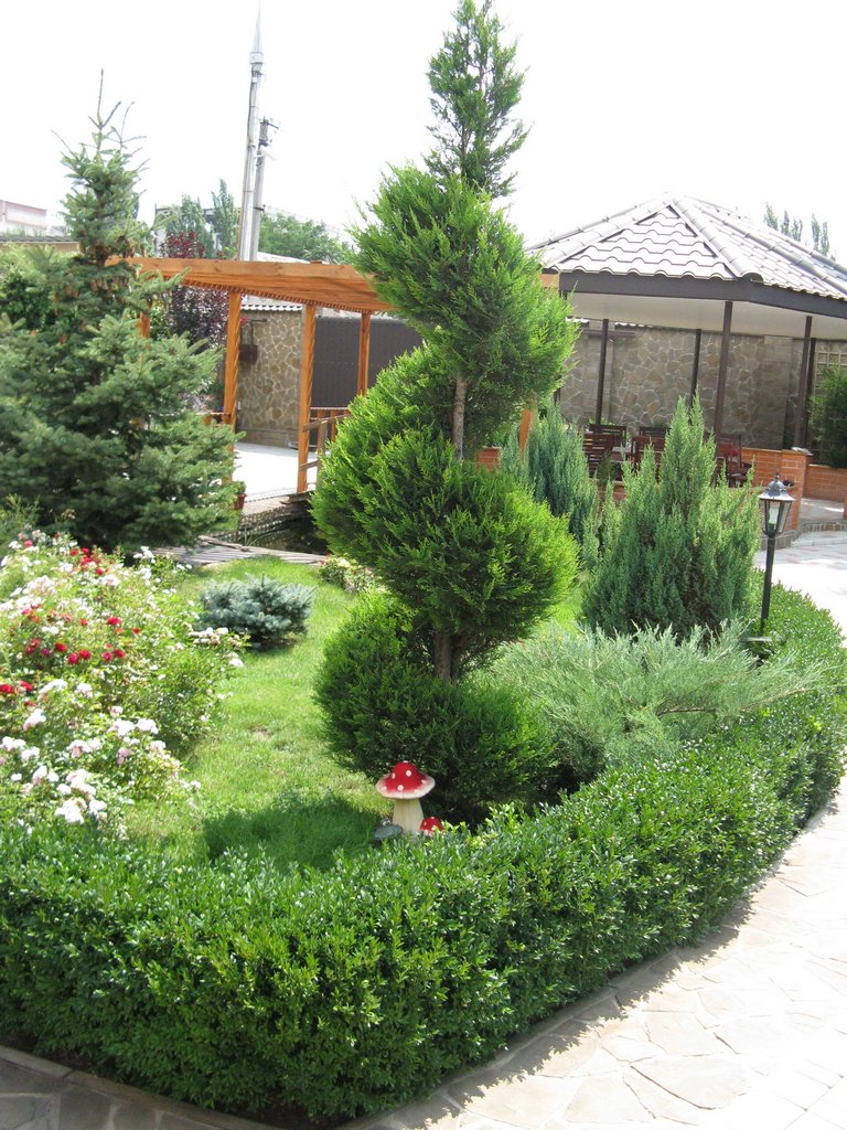 elka_1