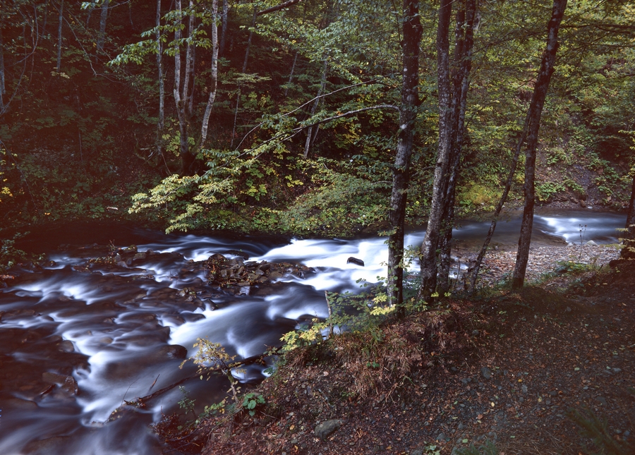 3-anatoliy-krivenko-nature-photo