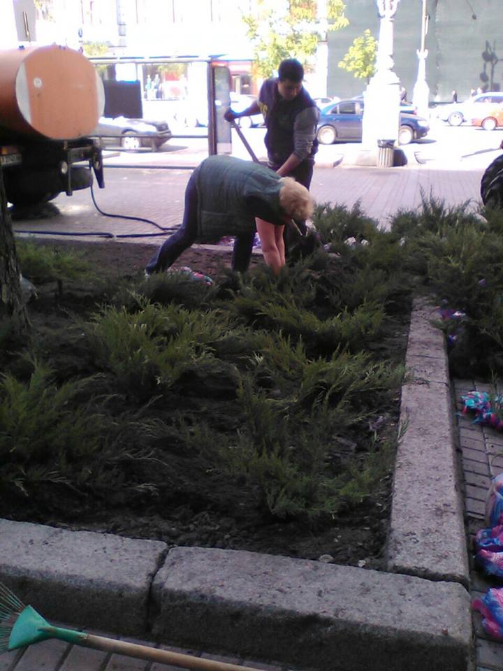 13010622_1050664508347309_7212024832246691161_n