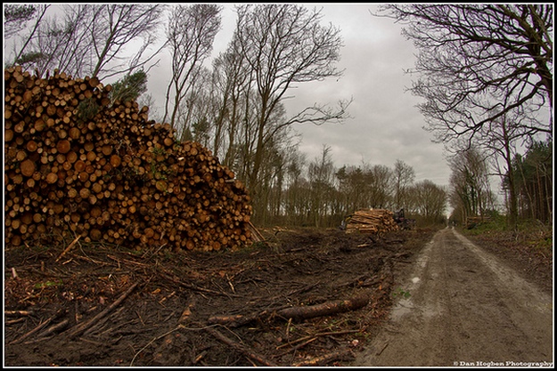 8390892298_2aa5c602c8_z