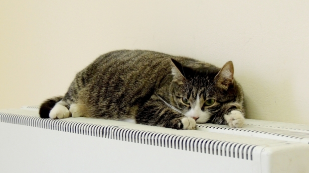 1414327534-1719-otoplenie-blogfontankaru