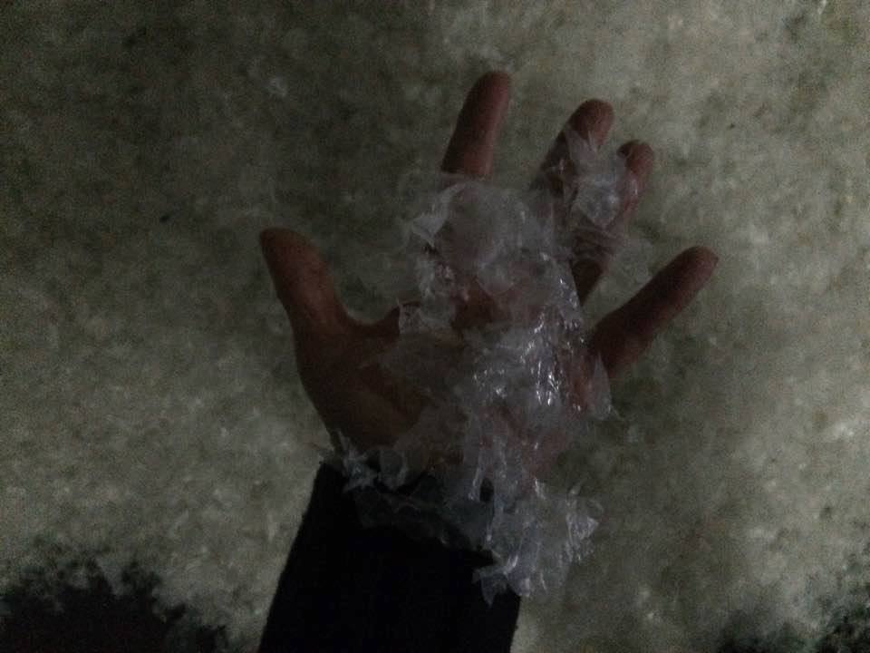 14591842_1756998634549890_7432385597816703302_n