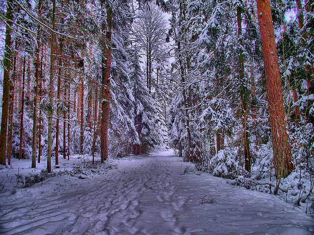 8464893476_a430bd81a0_z