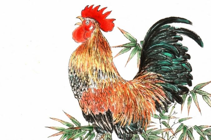 rooster_celebraties_janeku_met-2-676x450