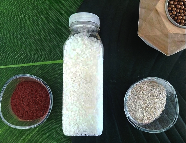 Від етикетки до пробки: у Франції створили пляшку VeganBottle, що 100% розкладається