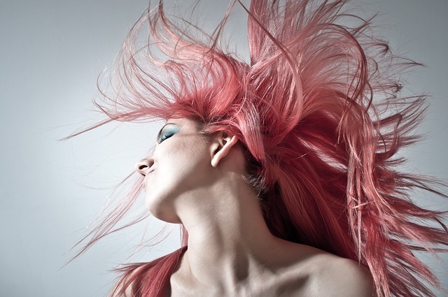 hair-1450045_640