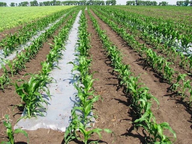 biorazlagaemuyu_agroplyonku_nachnut_proizvodit_v_ukraine