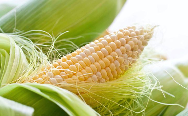 f1664e47b5073215abc364e73c98949a-corn-chowder-food-drinks