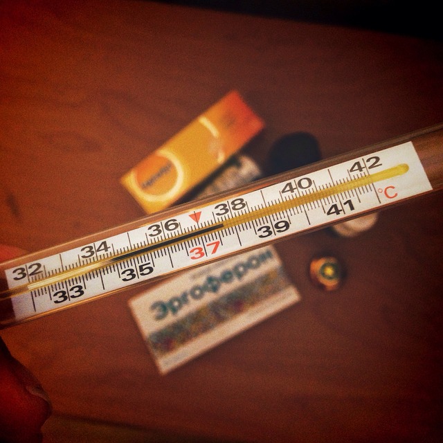 temperature-987012_640