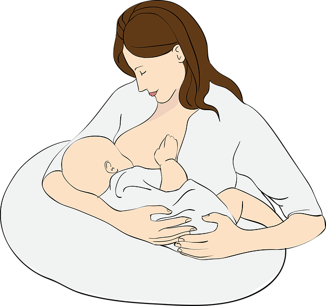 breast-feeding-1711486_640