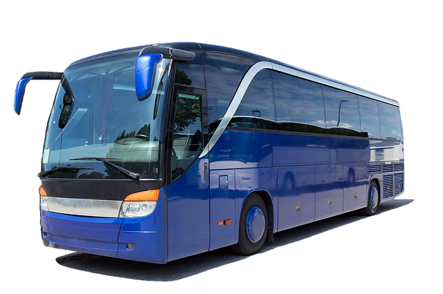 coach-3206326_640