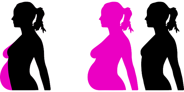 pregnancy-23889_640