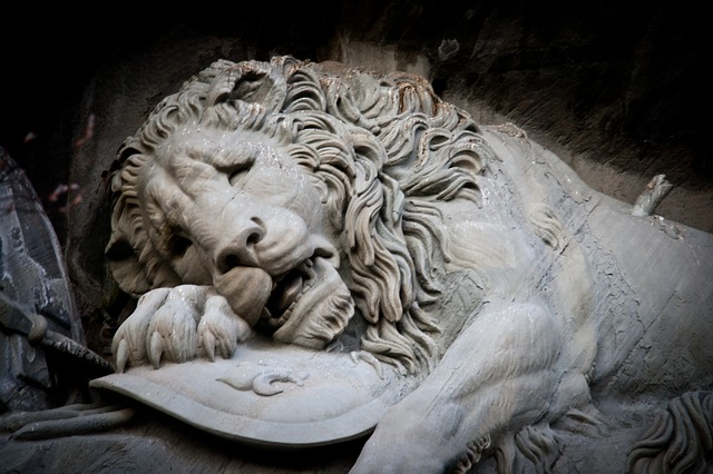 sadness-of-lions-631975_640