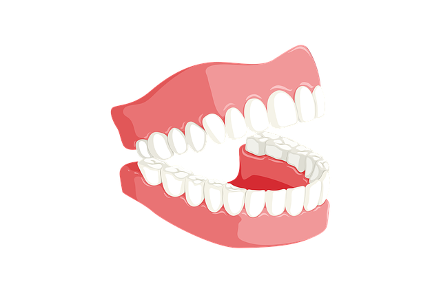 teeth-3414722_640