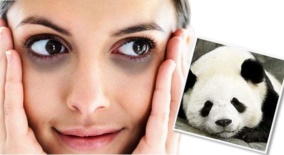 vbygrlz4tlmtg8e4rc1seg