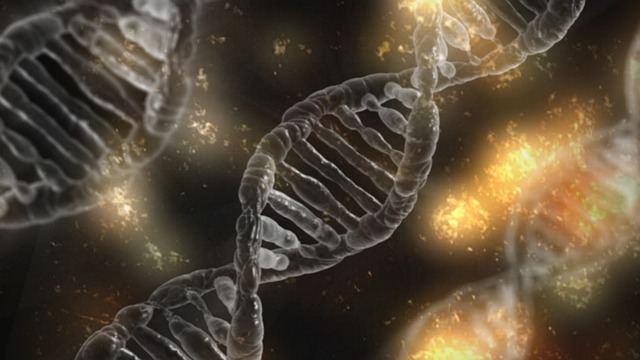dna-1903318_640